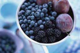 Ортомол Фемин - микронутриенти